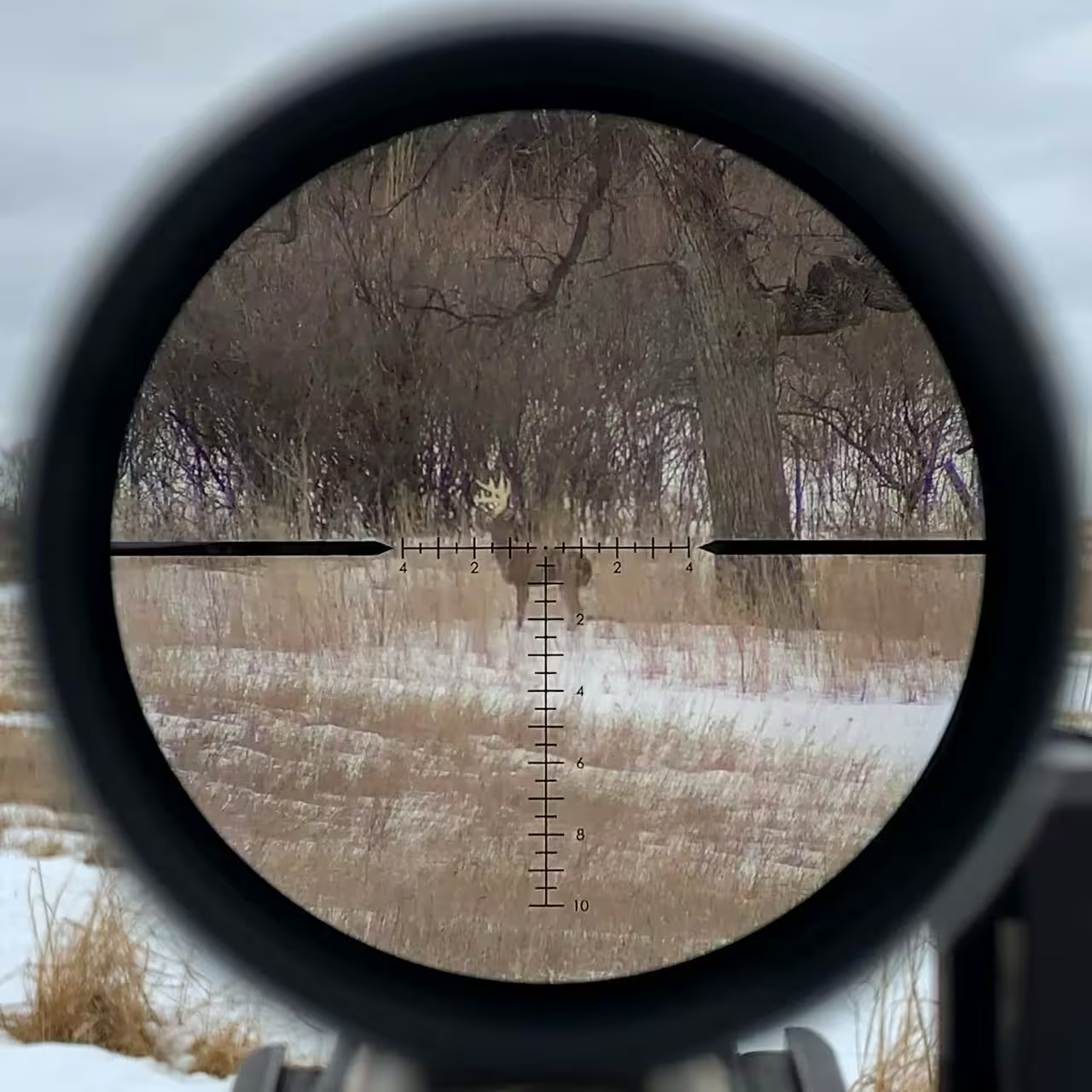 Vortex Razor LHT 3-15x42 HSR-5i MRAD