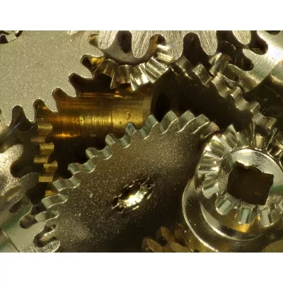 BRESSER DST-0745 Zoom Optik für digitale Mikroskop- und Ultramakro-Aufnahmen