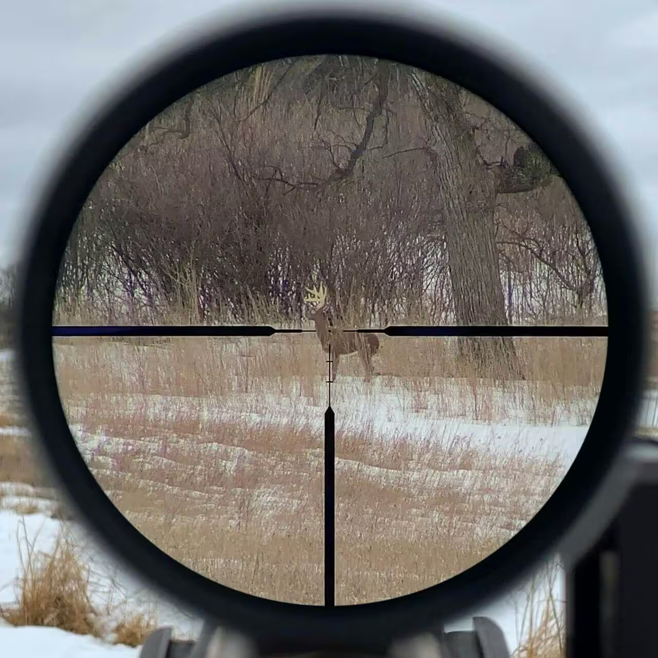 Vortex Razor LHT 3-15x50 G4i BDC MRAD