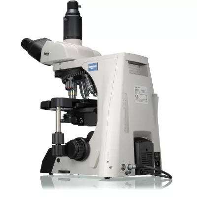 NEXCOPE NE910 PROFESSIONELLES LABOR-MIKROSKOP MIT HOHER AUSBAUFÄHIGKEIT