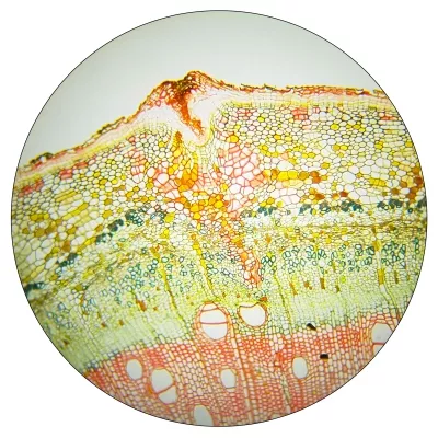 Bresser Okular 10x (30mm)