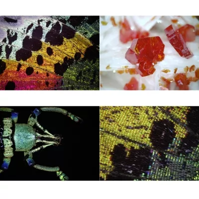 BRESSER USB Digitalmikroskop DST-1028 5.1MP