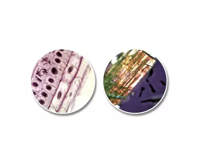 NATIONAL GEOGRAPHIC KOMPAKT TELESKOP + MIKROSKOP MIT SMARTPHONEHALTERUNG