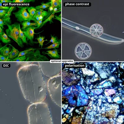 NEXCOPE NE930 PROFESSIONELLES LABORMIKROSKOP MIT MOTORISIERTEM 6-FACH OBJEKTIVREVOLVER
