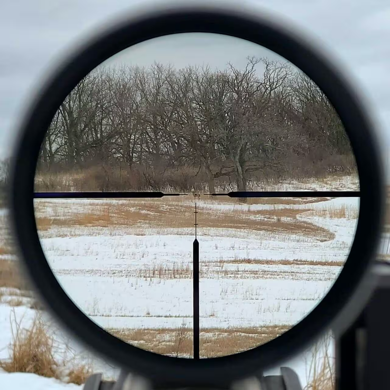 Vortex Razor LHT 3-15x50 G4i BDC MRAD