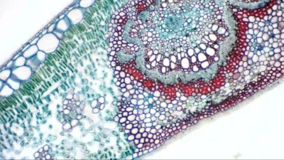 BRESSER MIKROKULAR FULL HD OKULARKAMERA